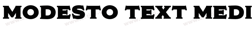 Modesto Text Medium字体转换